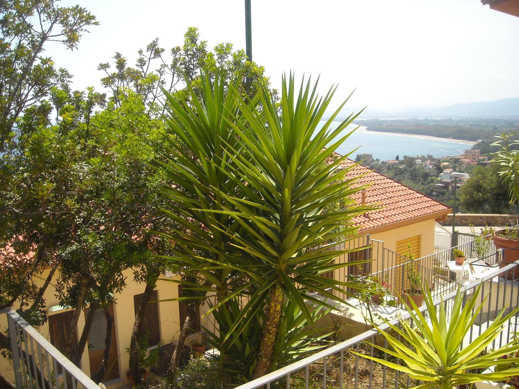 סנטה מריה נברזה Ostello Bellavista מראה חיצוני תמונה